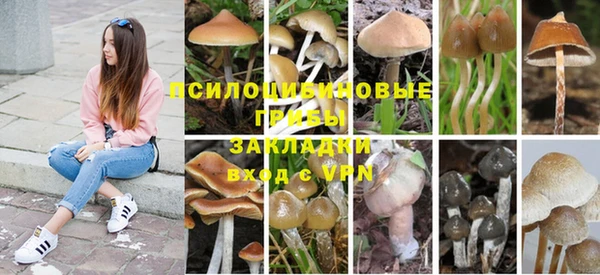 jwh Верея
