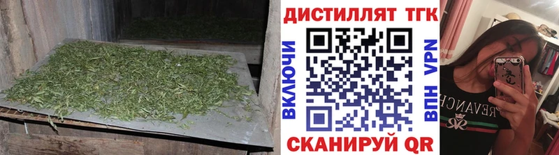 OMG ONION  магазин продажи   Остров  ТГК жижа 